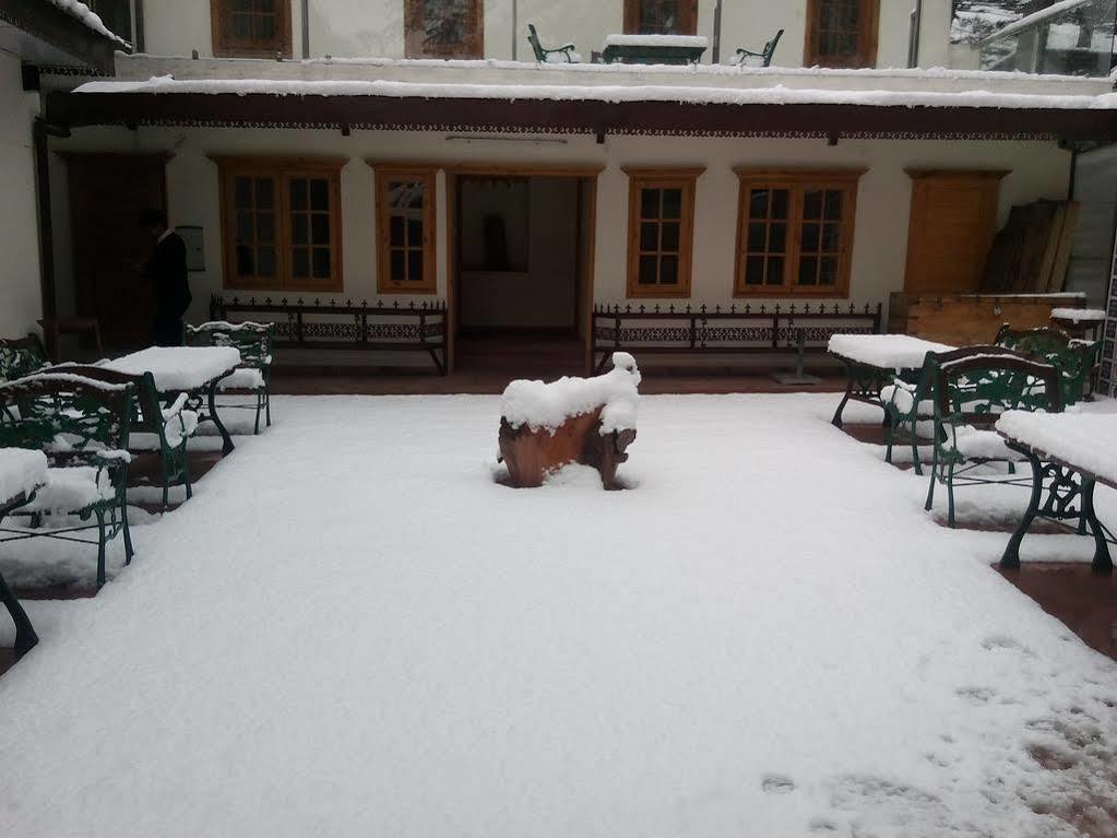 Torrentium Lodge Shimla Exterior foto